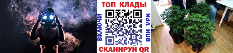 Купить закладку Новый Оскол ГАШ  Каннабис  СОЛЬ  Меф 