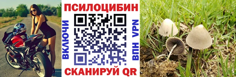 Галлюциногенные грибы Cubensis  Новый Оскол 